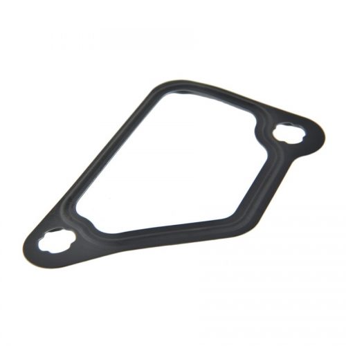 COOLANT FLANGE GASKET - D12