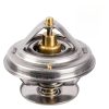 THERMOSTAT 79