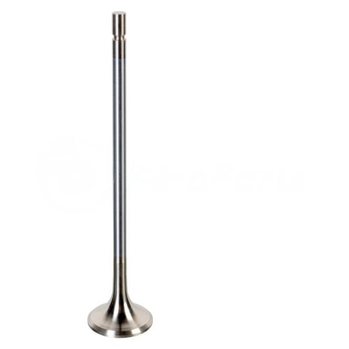 EXHAUST VALVE